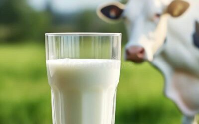 📈 Україна суттєво наростила експорт молочної продукції в березні