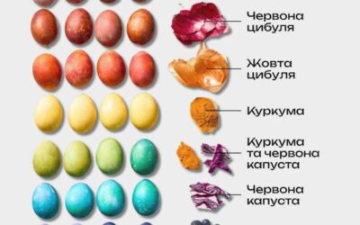 🎨 США забороняє використання синтетичних харчових барвників: нова ера для виробників та технологів