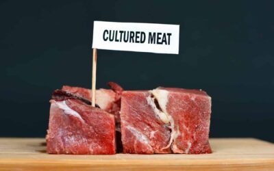 🥩 Південнокорейські вчені розробили революційну технологію
