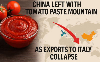 Китайська “томатна бульбашка” 🍅луснула: аналіз обвалу експорту до Італії та вікно можливостей для України